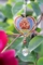 Full Bloom Collection LIB-9140-ROS LIFESTYLE 2