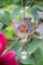 Blossom Collection lib-9140-rose LIFESTYLE