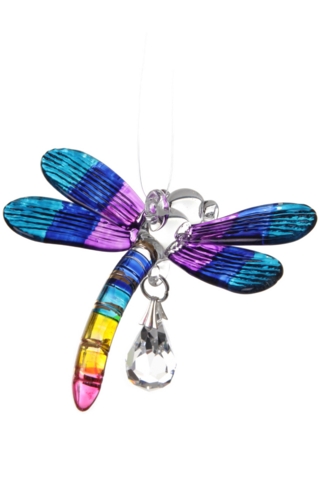 Dragonfly Tropical