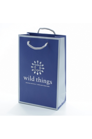 Blue Large Bag (22x14x7.5cm)