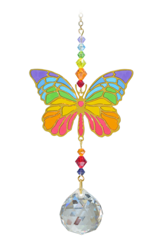 Butterfly - Rainbow