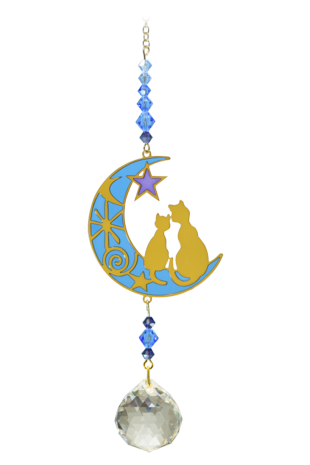 Two Cats Moon - Moonlight