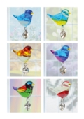 Pretty Little Birds Starter Pack With Displays