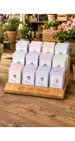 Angel Pins