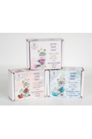 Pretty Little Kitties With Displays - Starter Pack