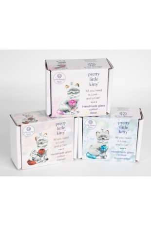 Pretty Little Kitties Starter Pack (36)