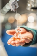 Pretty Little Kitties Starter Pack (36)