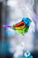 Pretty Little Birds Starter Pack (36)