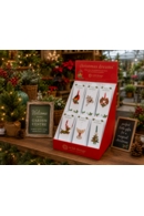 Christmas Dreams Starter Pack Kit 2 (36)