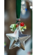 Christmas Crystal Star