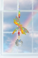 Dragonfly - Rainbow