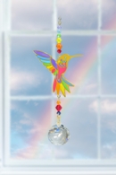 Hummingbird - Rainbow