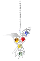 Crystal Radiance Humming Bird Rainbow