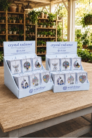 Crystal Radiance Starter Pack (48)