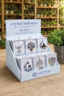 Crystal Radiance Starter Pack Kit 1 (24)