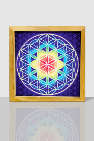 Lightframe Flower of Life