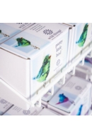 Fantasy Glass Birds Starter Pack with DF144