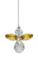 Guardian Angel Starter Pack