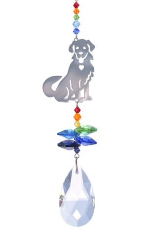 Crystal Fantasy Puppy - Prismatic