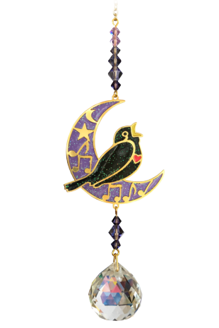 Crystal Dreams Blackbird Moonlight