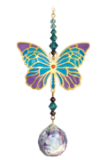 Butterfly - Iris