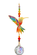 Hummingbird - Rainbow