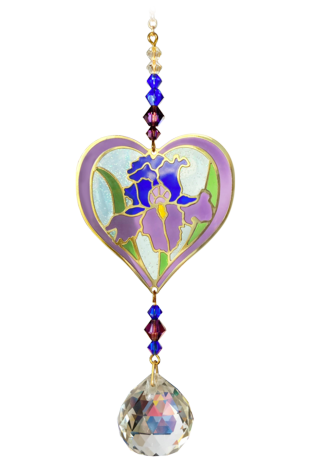 Crystal Dreams Iris Iris Purple