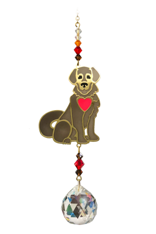 Crystal Dreams Puppy Brown