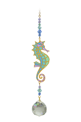 Seahorse - Marine