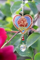 Full Bloom Collection