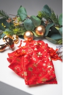 Red & Gold Bag Xmas 10cm x 15cm